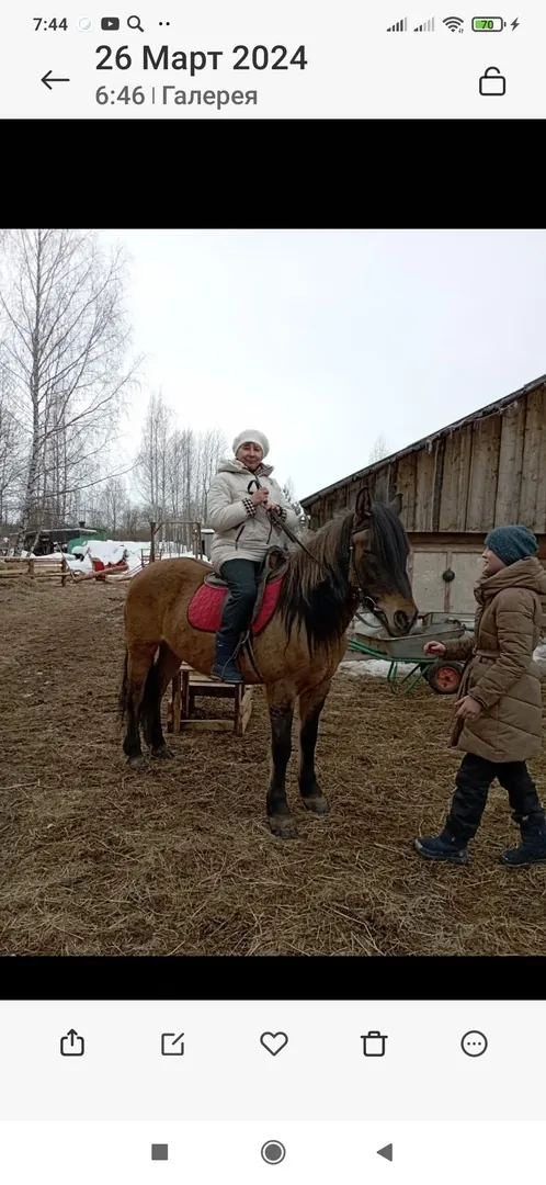 Серебряные волонтёры отдохнули в конном клубе «Талисман» при поддержке спонсоров.