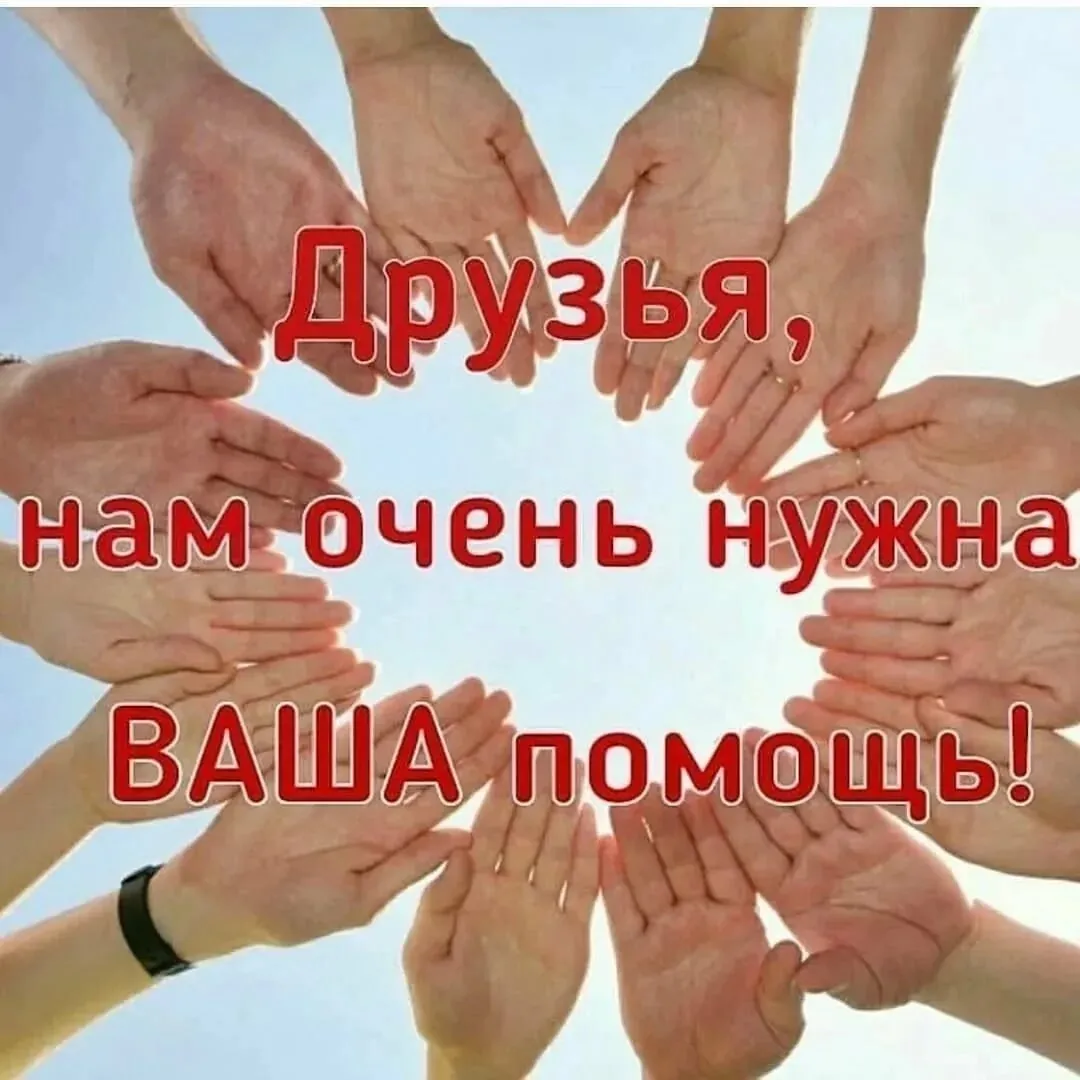 Объявлен срочный сбор помощи по четырем направлениям (полки и госпитали) до 30 апреля с перечнем медикаментов и реквизитами.
