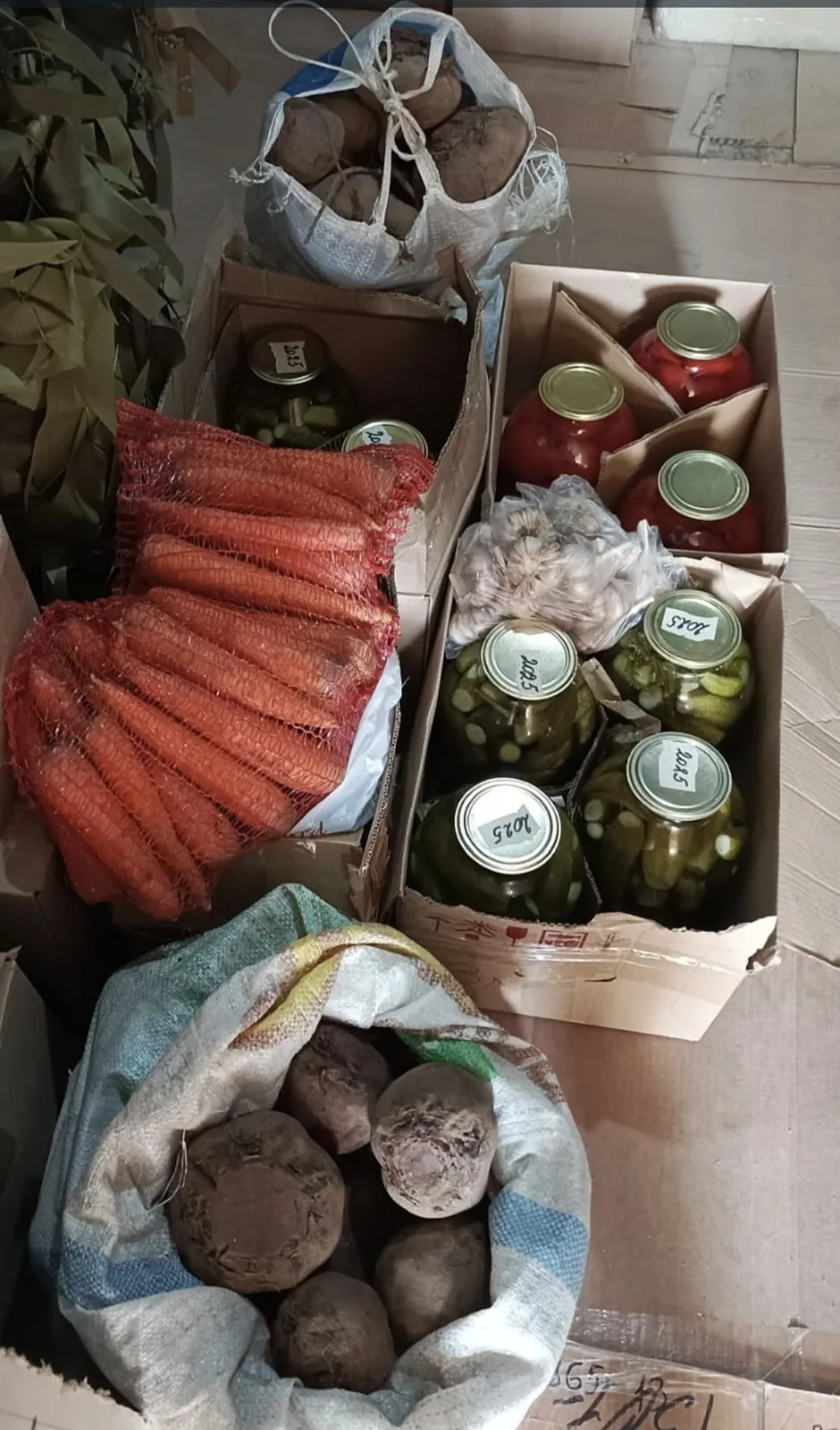 Люди несут продукты для посылок, женщина из района забирает работу на дом, волонтеры провели субботник по уборке территории.